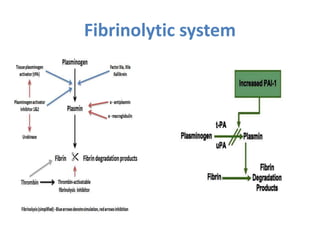 Fibrinolytic system
 