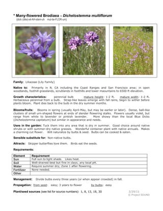 * Many-flowered Brodiaea – Dichelostemma multiflorum
(dick (dike)-el-AH-stem-uh mul-tie-FLOR-um)

Family: Liliaceae (Lily Family)
Primarily in N. CA including the Coast Ranges and San Francisco area; in open
woodlands, foothill grasslands, scrublands in foothills and lower maountains to 6500 ft elevation.

Native to:

perennial bulb
mature height: 1-2 ft.
mature width: 1-2 ft.
Herbaceous perennial from a bulb. Strap-like leaves emerge with fall rains, begin to wither before
plants bloom. Plant dies back to the bulb in the dry summer months.

Growth characteristics:

Blooms in spring (usually April-May, but may be earlier or later). Dense, ball-like
clusters of small urn-shaped flowers at ends of slender flowering stalks. Flowers usually violet, but
range from white to lavender or pinkish lavender.
More showy than the local Blue Dicks
(Dichelostemma capitatum) but similar in appearance and needs.

Blooms/fruits:

Uses in the garden: Tuck them into any area that is dry in summer. Good choice around native
shrubs or with summer-dry native grasses. Wonderful container plant with native annuals. Makes
a charming cut flower. Will naturalize by bulbs & seed. Bulbs can be cooked & eaten.

Sensible substitute for: Non-native bulbs.
Attracts: Skipper butterflies love them. Birds eat the seeds.
Requirements:
Element
Sun
Soil
Water
Fertilizer
Other

Requirement

Full sun to light shade. Likes heat.
Well-drained best but fine in clays; any local pH.
Require summer dry; Zone 1 after flowering.
None needed.

Management:

Divide bulbs every three years (or when appear crowded) in fall.

Propagation: from seed: easy; 3 years to flower

by bulbs: easy

Plant/seed sources (see list for source numbers): 1, 8, 13, 18, 30

3/29/11
© Project SOUND

 