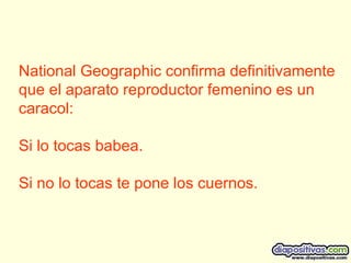 National Geographic confirma definitivamente que el aparato reproductor femenino es un caracol: Si lo tocas babea. Si no lo tocas te pone los cuernos.  