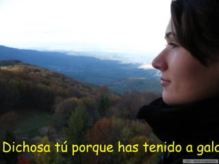 Dichosa tú porque has tenido a gala
 