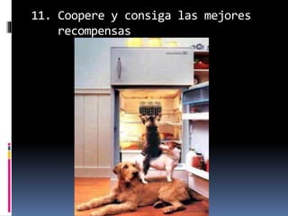 11. Coopere y consiga las mejores
recompensas
 