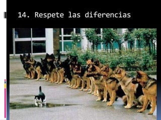 14. Respete las diferencias
 
