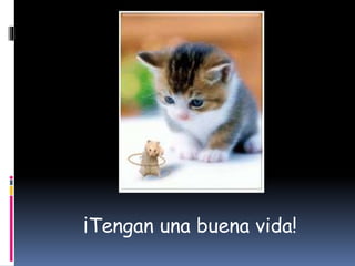 ¡Tengan una buena vida!
 
