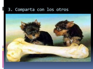 3. Comparta con los otros
 