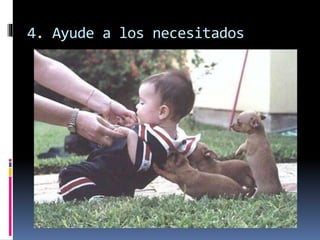 4. Ayude a los necesitados
 