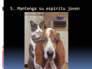 5. Mantenga su espíritu joven
 