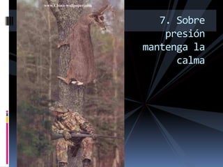 7. Sobre
presión
mantenga la
calma
 