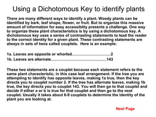 Using a Dichotomous Key to identify plants There are many different ways to identify a plant. Woody plants can be identified by bark, leaf shape, flower, or fruit. But to organize this massive amount of information for easy accessiblity presents a challenge. One way to organize these plant characteristics is by using a dichotomous key. A dichotomous key uses a series of contrasting statements to lead the reader to the correct identity for a given plant. These contrasting statements are always in sets of twos called couplets.  Here is an example: 1a. Leaves are opposite or whorled…………………………2 1b. Leaves are alternate……………………………….……143 These two statements are a couplet because each statement refers to the same plant characteristic, in this case leaf arrangement. If the tree you are attempting to identify has opposite leaves, making 1a true, then the key directs you to couplet number 2. If the tree has alternate leaves, making 1b true, the key directs you to couplet 143. You will then go to that couplet and decide if either a or b is true for that couplet and then go to the next couplet. Usually it takes about 6-9 couplets to determine the identity of the plant you are looking at. Next Page 