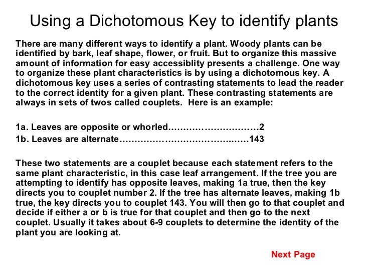 Dichotomous Key 1