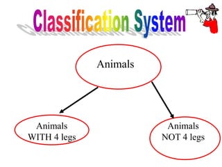 Animals
Animals
WITH 4 legs
Animals
NOT 4 legs
 