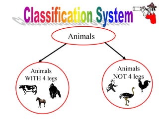 Animals
Animals
WITH 4 legs
Animals
NOT 4 legs
 