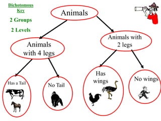 Animals
Animals
with 4 legs
Animals with
2 legs
Has a Tail
No Tail
Has
wings No wings
Dichotomous
Key
2 Groups
2 Levels
 