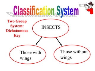 INSECTS
Those with
wings
Those without
wings
Two Group
System:
Dichotomous
Key
 