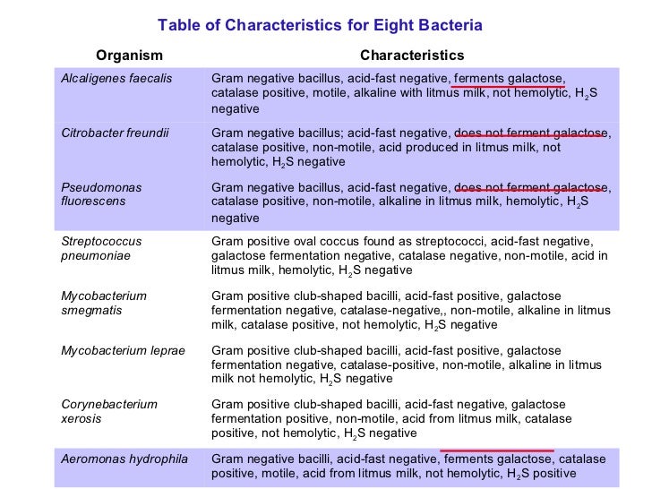 Dichotomous key for unknown bacteria