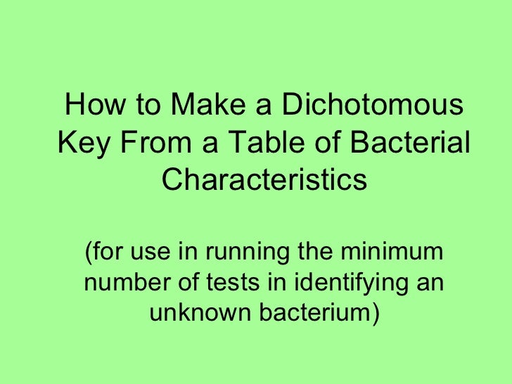 pics Bacteria Dichotomous Key Worksheet Answers dichotomous key