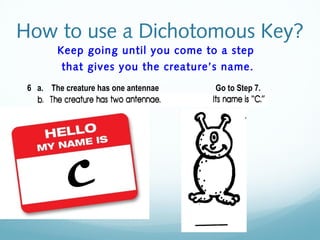 1.4 Dichotomous Key Presentation | PPT