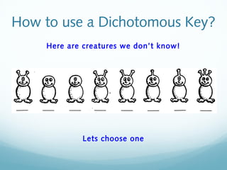 1.4 Dichotomous Key Presentation | PPT