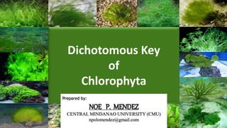 Dichotomous Key
of
Chlorophyta
Prepared by:
NOE P. MENDEZ
CENTRAL MINDANAO UNIVERSITY (CMU)
npolomendez@gmail.com
 
