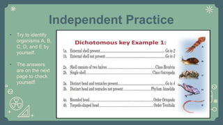 Independent Practice
• Try to identify
organisms A, B,
C, D, and E by
yourself.
• The answers
are on the next
page to check
yourself!
 