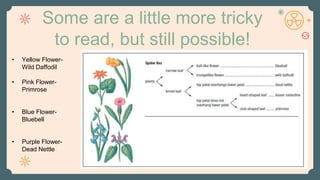 Some are a little more tricky
to read, but still possible!
• Yellow Flower-
Wild Daffodil
• Pink Flower-
Primrose
• Blue Flower-
Bluebell
• Purple Flower-
Dead Nettle
 