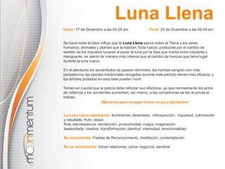 Luna Llena
Inicio: 17 de Diciembre a las 04:29 am

Final: 25 de Diciembre a las 08:49 am

Se hace notar el claro influjo que la Luna Llena ejerce sobre la Tierra y los seres
humanos, animales y plantas que la habitan. Esta fuerza, producida por el cambio de
sentido de los impulsos lunares al pasar la luna por la fase que media entre creciente y
menguante, se siente de manera más intensa que el cambio de fuerzas que tiene lugar
durante la luna nueva.
En el plenilunio los sonámbulos se pasean dormidos, las heridas sangran con más
persistencia; las plantas medicinales recogidas durante este período tienen más eficacia, y
los árboles podados en esta fase pueden morir.
Tomen en cuenta que la policía debe reforzar sus efectivos, ya que normalmente los actos
de violencia y los accidentes aumentan; así mismo, a las comadronas se les acumula el
trabajo.
¡Momento para recoger frutos no para plantarlos!

La Luna Llena representa: Iluminación, desenlace, introspección, inquietud, culminación
y resultado, fruto, etapa
final, efervescencia, recolección, productividad, magia, imaginación
desbordada, creativa, transformación, plenitud, intensidad, emocionalidad.
Se recomienda: Fiestas de Reconocimiento, meditación, contemplación.
No se recomienda: Iniciar relaciones, cerrar negocios, sembrar.

 
