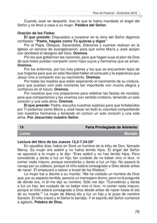 Plan de Pastoral - Diciembre 2016
79
Cuando José se despertó, hizo lo que le había mandado el ángel del
Señor y se llevó a casa a su mujer. Palabra del Señor.
Oración de los Fieles:
El que preside: Dispuestos a cooperar en la obra del Señor digamos
confiados: “Padre, hágase como Tú quieras y digas”
Por el Papa, Obispos, Sacerdotes, Diáconos y cuantos realizan en la
Iglesia un servicio de evangelización, para que como María y José acojan
con docilidad el designio del Dios. Oremos.
Por los que gobiernan las naciones, para que hagan suyo el plan de Dios
de que todos puedan compartir como hijos suyos y hermanos que se aman.
Oremos.
Por los enfermos, por los más pobres y los que se encuentren lejos de
sus hogares para que en esta Navidad hallen el consuelo y la esperanza que
Jesús vino a compartir con su nacimiento. Oremos.
Por todas las madres que están esperando el nacimiento de su criatura,
para que puedan vivir este momento tan importante con mucha alegría y
confianza en el futuro. Oremos.
Por nosotros que nos preparamos para celebrar las fiestas de navidad,
para que compartamos y las vivamos con sentido cristiano, teniendo un solo
corazón y una sola alma. Oremos.
El que preside: Padre, escucha nuestras súplicas para que fortalecidos
por Ti podamos como María y José hacer en todo tu voluntad compartiendo
con nuestros hermanos y teniendo en común un solo corazón y una sola
alma. Por Jesucristo nuestro Señor.
19 Feria Privilegiada de Adviento
Lunes Morado
Lectura del libro de los Jueces 13,2-7.24-25ª
En aquellos días, había en Sorá un hombre de la tribu de Dan, llamado
Manoj. Su mujer era estéril y no había tenido hijos. El ángel del Señor
se apareció a la mujer y le dijo: “Eres estéril y no has tenido hijos. Pero
concebirás y darás a luz un hijo; ten cuidado de no beber vino ni licor, ni
comer nada impuro, porque concebirás y darás a luz un hijo. No pasará la
navaja por su cabeza, porque el niño estará consagrado a Dios desde antes
de nacer. Él empezará a salvar a Israel de los filisteos.”
La mujer fue a decirle a su marido: “Me ha visitado un hombre de Dios
que, por su aspecto terrible, parecía un mensajero divino; pero no le pregunté
de dónde era, ni él me dijo su nombre. Sólo me dijo: “Concebirás y darás
a luz un hijo: ten cuidado de no beber vino ni licor, ni comer nada impuro;
porque el niño estará consagrado a Dios desde antes de nacer hasta el día
de su muerte.”” La mujer de Manoj dio a luz un hijo y le puso de nombre
Sansón. El niño creció y el Señor lo bendijo. Y el espíritu del Señor comenzó
a agitarlo. Palabra de Dios.
 