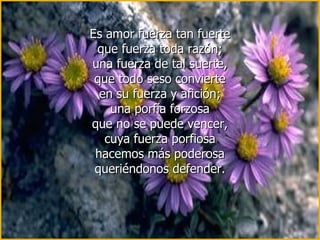 Es amor fuerza tan fuerte que fuerza toda razón; una fuerza de tal suerte, que todo seso convierte en su fuerza y afición; una porfía forzosa que no se puede vencer, cuya fuerza porfiosa hacemos más poderosa queriéndonos defender. 