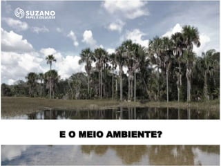 E O MEIO AMBIENTE?
 