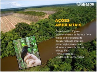 AÇÕES
    AMBIENTAIS
• Corredores Ecológicos
• Monitoramento de fauna e flora
• Índice de Biodiversidade
• Recuperação de áreas de
  preservação permanente
• Monitoramento de bacias
  hidrográficas
• Trilhas ecológicas
• Unidades de Conservação
 