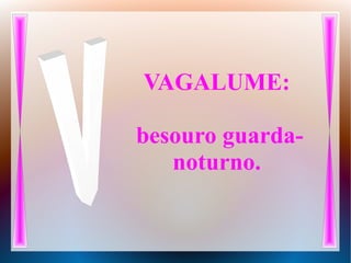 VAGALUME:
besouro guarda-
noturno.
 