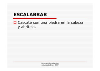 Dicionario Socuellamino