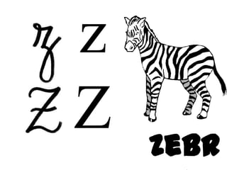 z
Z   Zebr
 
