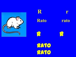 R          r
Rato   rato


R      r
Rato
rato
 