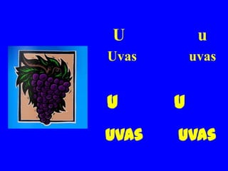U           u
Uvas       uvas


U      u
Uvas   uvas
 