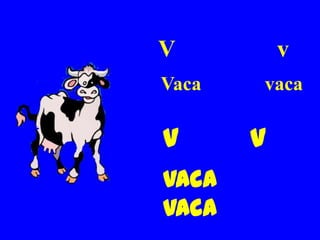 V          v
Vaca   vaca

V      v
Vaca
vaca
 