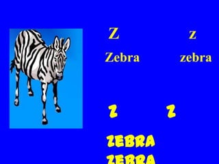 Z            z
Zebra       zebra



Z       z
Zebra
 