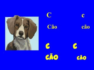 C         c
Cão       cão


C     c
Cão   cão
 