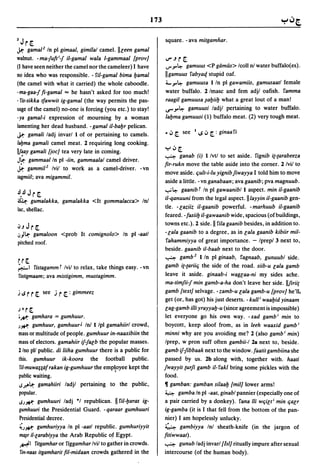 173


3Jr[.                                                            square. - ava mitgamliar.
.k gamal 2 In pi gimaal,    gimElal camel. IIleen gamal
walnut. -ma-Jufti-J iI-gamal wala I-gammaal [prov]               V".Jr[.
(I have seen neither the camel nor the cameleer) I have          ..,..,.~ gamuus <P gamas> Icoll nlwater buffalo(es).

00 idea who was responsible. - riI-gamal bima lJamal             IIgamuus rabyaq stupid oaf.
(the camel with what it carried) the whole caboodle.             4..,.~ gamuusa I In pi gawamiis, gamusaatl female

-ma-gaa-J fi-gamal == he hasn't asked for too much!              water buffalo. 2/masc and fem adjl oafish. ramma
- fis-sikka tfawwit ig-gamal (the way permits the pas-           raagil gamuusa ~alJiilJ what a great lout of a man!
sage of the camel) no-one is forcing (you etc.) to stay!         ~,.~ gamuusi ladjl pertaining to water buffalo.

-ya gamal-i expression of mourning by a woman                    lalJma gamuusi (1) buffalo meat. (2) very tough meat.
lamenting her dead husband. - gamal iI-balJr pelican.
~ gamali ladj invarl I of or pertaining to camels.
                                                                 • ~ [. see   I   IS ~ [. : ginaa ri
lalJma gamali camel meat. 2 requiring long cooking.
                                                                 y~[.
IIr~ay gamali [joe] tea very late in coming.
                                                                 ~     ganab (i) I Ivtl to set aside. rignib it-tarabeeza
Jlr: gammaalln pi -iin, gammaalal camel driver.
                                                                 fir-rukn move the table aside into the corner. 2/vil to
.k-   gammil Z Ivil to work as a camel-driver. -vn
                                                                  move aside. e;ult-i-Iu yignib fiwayya I told him to move
lagmiil; ava migammil.
                                                                  aside a little. - vn ganabaan; ava gaanib; pva magnuub .
                                                                  .,..;~ gaanibT In pi gawaanib/l aspect. min iI-gaanib
.!l•.!l   Jr[.
~ gumalakka, gamalakka <It gommalaeea> In!
                                                                  iI-qanuuni from the legal aspect.ll/ayyin iI-gaanib gen-
lac, shellac.                                                     tle. -laziiz iI-gaanib powerful. - marhuub iI-gaanib
                                                                  feared. - fasiilJ iI-gawaanib wide, spacious (of buildings,
                                                                  towns etc.). 2 side. II rilagaanib besides, in addition to.
':uJr[.
.,.,Jl.r; gamaloon <prob It eomignolo> In pi -aatl                -lala gaanib to a degree, as in lala gaanib kibiir mil-
pitched roof.                                                     rahammiyya of great importance. - Iprepl 3 next to,
                                                                  beside. gaanib iI-baab next to the door.
                                                                  ~ gamb Z lIn pi ginaab, ragnaab, gunuubl side.
rr[.
~I fistagammT Ivil to relax, take things easy. -vn               gamb it-tariie; the side of the road. siib-u lala gamb
 fisligmaam; ava mistigimm, mustagimm.                            leave it aside. ginaab-i waglaa-ni my sides ache.
                                                                  ma-timfii-J min gamb-a-ha don't leave her side. Ilfiriit
ilSrr[. see jr[.:gimmeez                                         gamb [text] selvage. -zamb-u lala gamb-u [prov] he'll.
                                                                  get (or, has got) his just deserts. - kul/ i waalJid yinaam
J.    r[.                                                        lag-gamb illi yrayyalJ-u (since agreement is impossible)
;p' gamhara = gumhuur.                                            let everyone go his own way. -xad gambi min to
)~ gumhuur, gamhuurJ Inl I Ipl gamahiirl crowd,                   boycott, keep aloof from, as in leeh waaxid gamb i
mass or multitude of people. gumhuur in-naaxibiin the            minni why are you avoiding me? 2 (also gambi min)
mass of electors. gamahiir if-falb the popular masses.           Iprep, w pron suff often gambii-I 28 next to, beside.
1/00 pI! public. di liiha gumhuur there is a public for          gamb if-Jibbaak next to the window. faatit gambiina she
this. gumhuur ik-koora the football public.                      passed by us. 2b along with, together with. haati
 fi/-muwa;;df rakan ig-gumhuur the empoyee kept the             fwayyit (Urfi gamb ii- rakl bring some pickles with the
public waiting.                                                  food.
1S.r-'Lr: gamahiiri ladjl pertaining to the public,              11 gamban: gamban silaalJ [mil] lower arms!
popular.                                                         4 gamba In pi -aat, ginabl pannier (especially one of
IS)~ gumhuuri ladj ·1 republican. II ril-lJaras ig-              a pair carried by a donkey). rana Iii We;il,i min e;alr
gumhuuri the Presidential Guard. - qaraar gumhuuri               ig-gamba (it is I that fell from the bottom of the pan-
Presidential decree.                                             nier) I am hopelessly unlucky.
~)~ gumhuriyya In pi -aatl republic. gumhuriyyit                  (.~ gambiyya Inl sheath-knife (in the jargon of
mtqr i/-larabiyya the Arab Republic o.f Egypt.                   fitiwwaat).
 ~I fitgamhar or figgamhar Ivil to gather in crowds.             ~ gunub ladjinvarl[lsl] ritually impure after sexual
 fin-naas itgamharit fil-midaan crowds gathered in the           intercourse (of the human body).
 