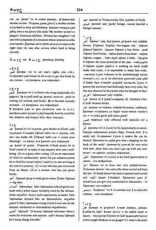 Dicionario arabe egipcio