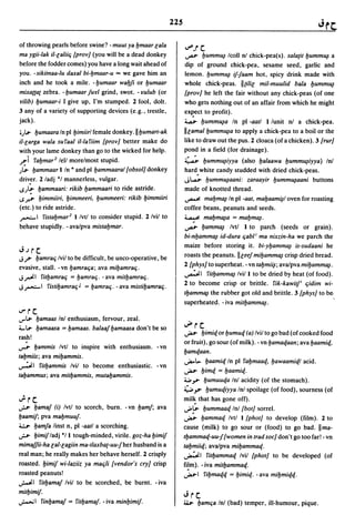 Dicionario arabe egipcio