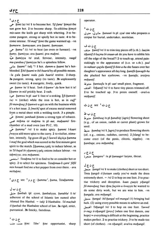 Dicionario arabe egipcio