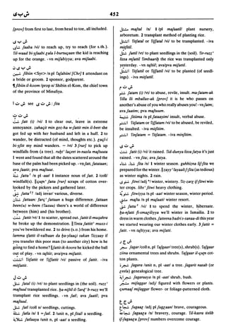 Dicionario arabe egipcio