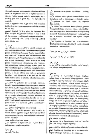 Dicionario arabe egipcio