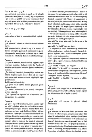 Dicionario arabe egipcio