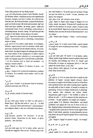 Dicionario arabe egipcio