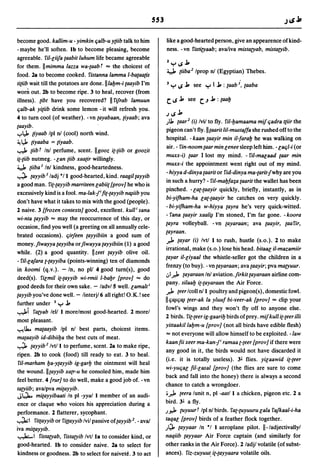 Dicionario arabe egipcio