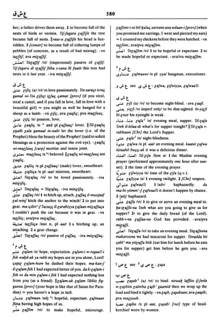 Dicionario arabe egipcio