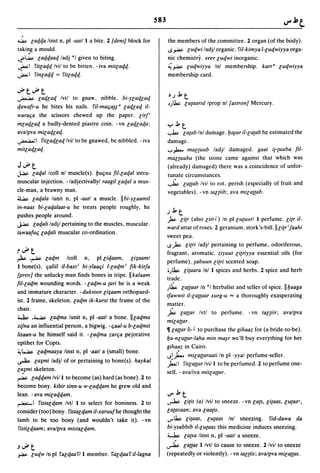 Dicionario arabe egipcio