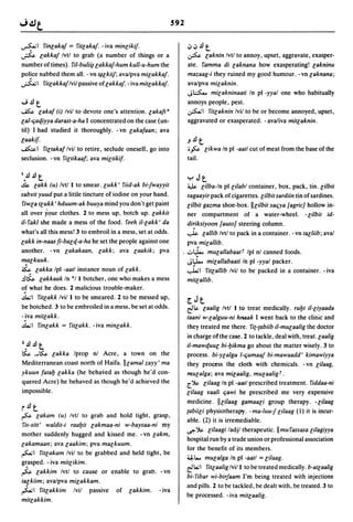 Dicionario arabe egipcio