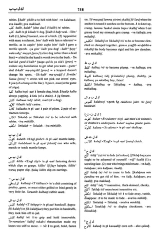 Dicionario arabe egipcio